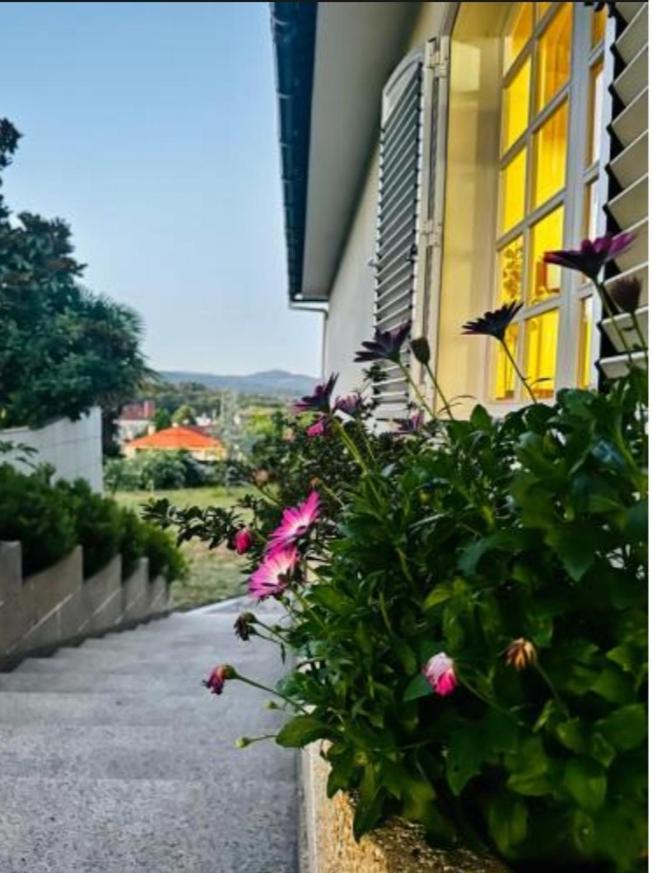 Bed and Breakfast A Casa De Abelleira Ponteareas Esterno foto
