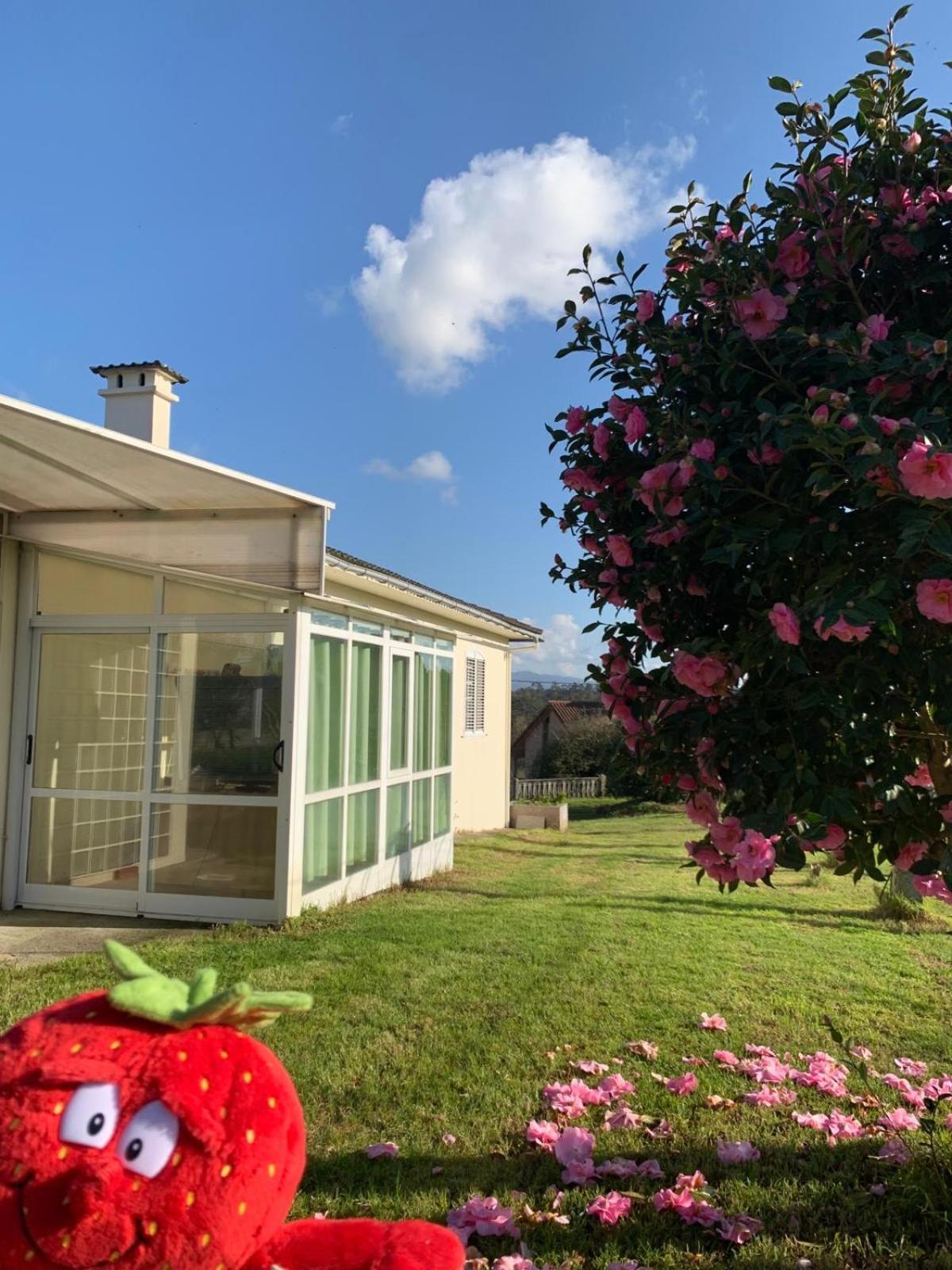 Bed and Breakfast A Casa De Abelleira Ponteareas Esterno foto