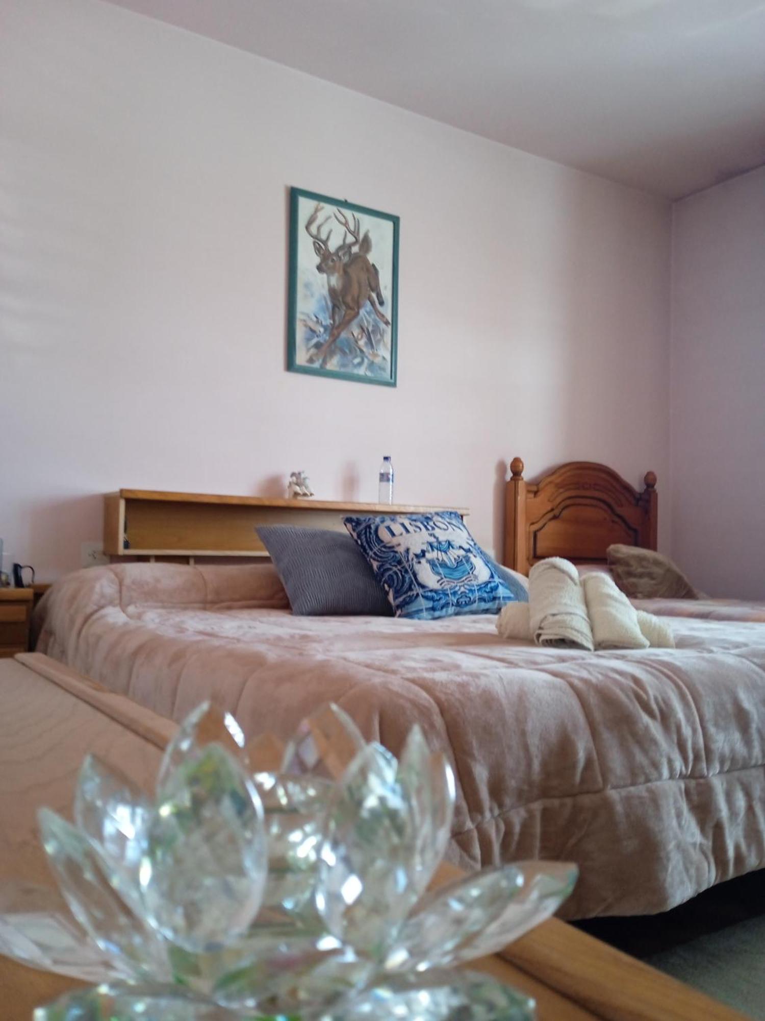 Bed and Breakfast A Casa De Abelleira Ponteareas Esterno foto